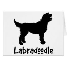 Labradoodle w/ Cool Text Card