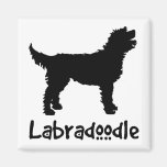 Labradoodle w/ Cool Text (in black) Magnet