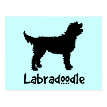 Labradoodle w/ Cool Text (in black) Post Cards