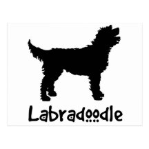 Labradoodle w/ Cool Text Post Cards
