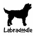 Labradoodle w/ Cool Text t-shirts