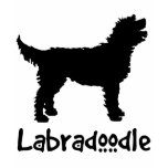 Labradoodle w/ Cool Text t-shirts