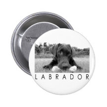 Labrador B&W Buttons