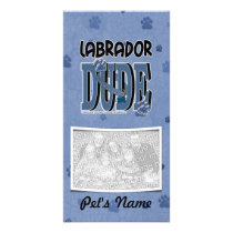 Labrador DUDE