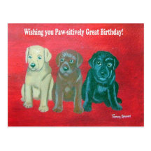 Labrador Happy Birthday Card Post Card