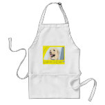 Labrador in a Cab aprons