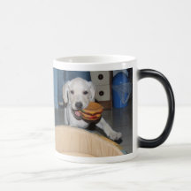 Labrador Mugs