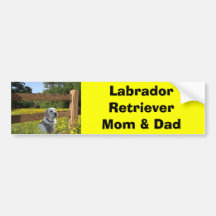 Labrador Mum & Dad Bumper Sticker