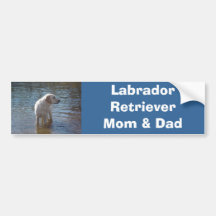 Labrador Mum & Dad Bumper Sticker