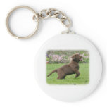 Labrador Puppy 9Y220D-029 Key Chains