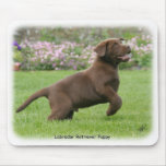 Labrador Puppy 9Y220D-029 Mouse Mats