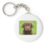 Labrador puppy 9Y267D-063 Keychains