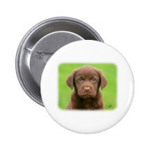 Labrador puppy 9Y267D-063 Pins