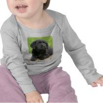 Labrador puppy 9Y267D-109 T-shirts