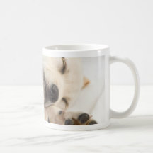 Labrador Puppy Coffee Mug
