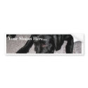 Labrador Puppy Is Eating Grapes bumper stickers