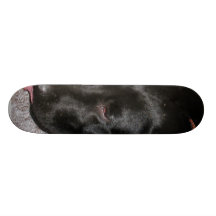 Labrador Puppy Is Eating Grapes Skate Board Deck