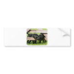 Labrador Pups 9Y415D-168 Bumper Stickers