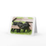 Labrador Pups 9Y415D-168 Greeting Cards