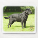 Labrador Retriever 9A054D-09 Mouse Mat