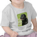 Labrador Retriever 9A69D-11 t-shirts