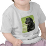 Labrador Retriever 9A69D-11 t-shirts