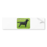 Labrador Retriever 9T099D-006 Bumper Sticker