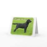 Labrador Retriever 9T099D-006 cards