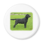 Labrador Retriever 9T099D-006 magnets