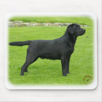 Labrador Retriever 9T099D-006 Mouse Mat