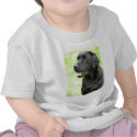 Labrador Retriever 9Y053D-139 t-shirts