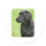 Labrador Retriever 9Y053D-144 Stickers