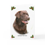 Labrador Retriever 9Y243D-004a