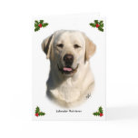 Labrador Retriever 9Y383D-267 cards