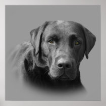 Labrador Retriever Awesome Print