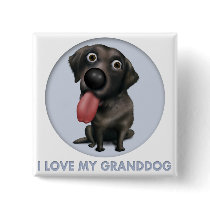 Labrador Retriever (Black) Granddog