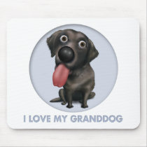 Labrador Retriever (Black) Granddog