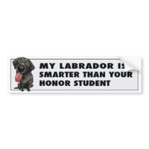 Labrador Retriever (Black) Honour