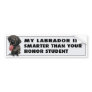 Labrador Retriever (Black) Honour