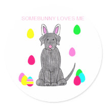 Labrador Retriever Black Somebunny Loves Me stickers
