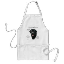 Labrador Retriever (blk) History Design Aprons