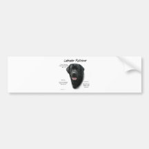 Labrador Retriever (blk) History Design Bumper Sticker