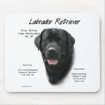Labrador Retriever (blk) History Design
