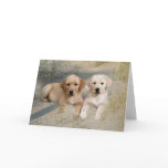 Labrador Retriever Card Pups On Beach