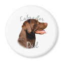Labrador Retriever (chocolate) Dad 2 magnets