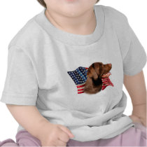 Labrador Retriever (chocolate) Flag