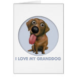 Labrador Retriever (Chocolate) Granddog cards