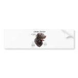 Labrador Retriever (chocolate) History Design bumper stickers