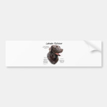 Labrador Retriever (chocolate) History Design Bumper Sticker