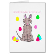 Labrador Retriever Chocolate Somebunny Loves Me cards